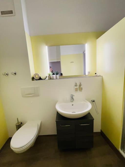 Fewo 20 - Appartement Im Rottalblick - Youngmodern Wohnen Mit Bademantelgang Zur Therme, Tv, Balkon Und Persoenlichem Gaesteempfang Von Astarte Estate Bad Griesbach  Exteriör bild
